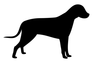 a black and white silhouette of a dog