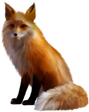 a drawing of a red fox sitting down
