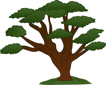 a cartoon tree with green leaves