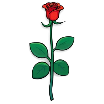 a red rose on a white background