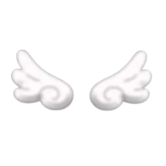 a pair of angel wings on a white background