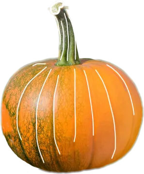a large orange pumpkin on a white background