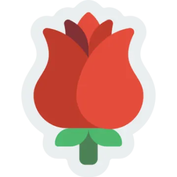 a red flower on a white background