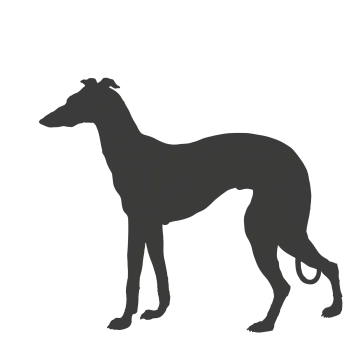 a dog silhouetted on a white background