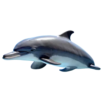 a dolphin jumping in the air on a white background