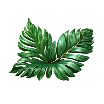 a green leaf on a white background