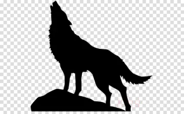 a silhouette of a wolf standing on a rock