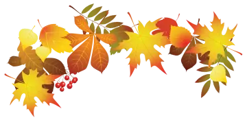 a bunch of autumn leaves and berries