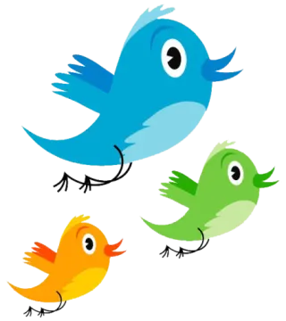 three colorful birds on a white background