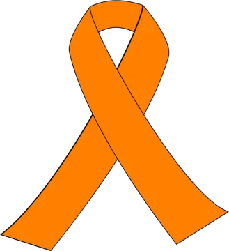 an orange ribbon on a white background