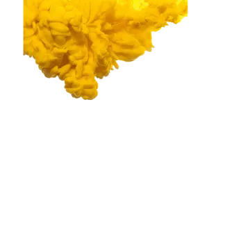 a yellow flower on a white background
