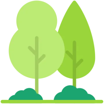 two trees with green leaves