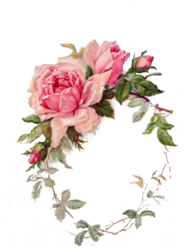 a watercolor painting of pink roses on a white background