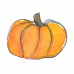 a watercolor drawing of a pumpkin