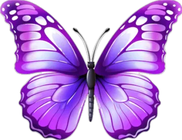 a purple butterfly on white background