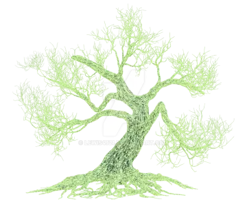 a drawing of a tree with no leaves