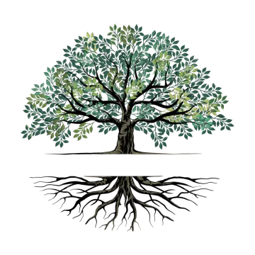 a tree with green leaves and roots