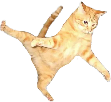 the cat is orange