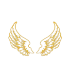 a pair of gold wings