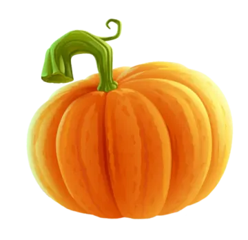 a pumpkin on a white background