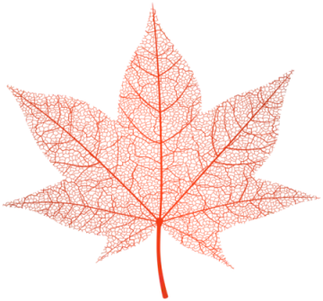 a leaf made out of leaves