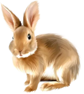 a drawing of a rabbit on a white background