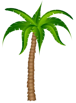 a palm tree with green leaves