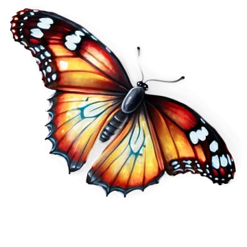 a colorful butterfly on a white background