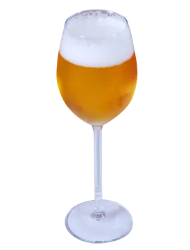 a glass of beer on a white background