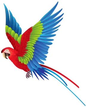 a colorful parrot flying in the air