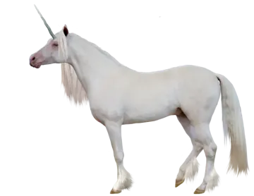 a white unicorn with long hair standing in front of the camera