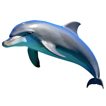 a dolphin jumping in the air with its mouth open
