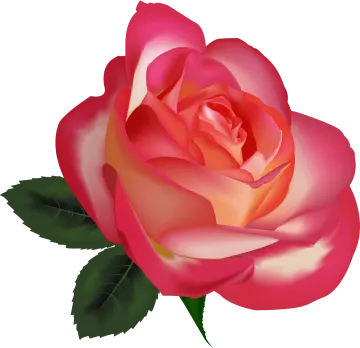 a pink rose with green leaves