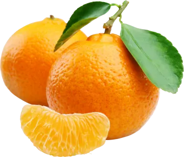 two oranges with leaves on a white background