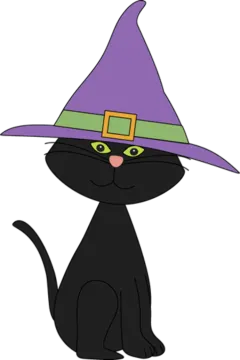 a black cat wearing a witch hat