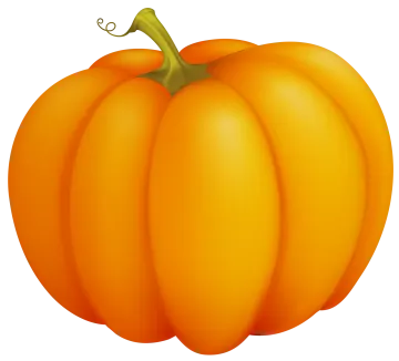 a large orange pumpkin on a white background