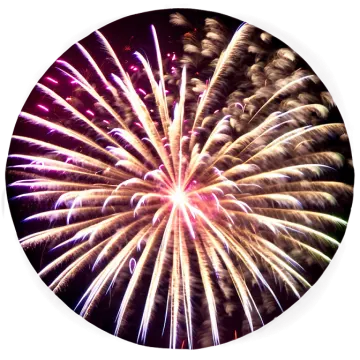 fireworks in the night sky