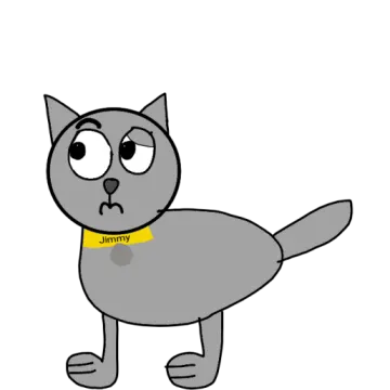 a gray cat with a yellow collar