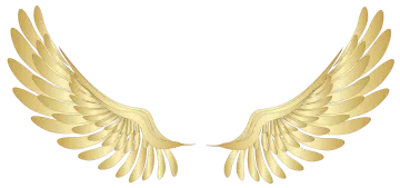 a pair of golden wings