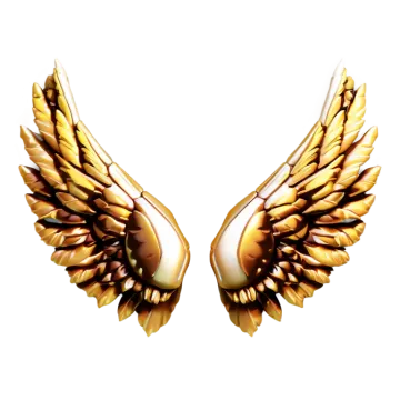 a pair of wings on a white background