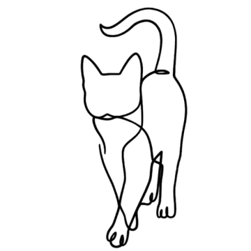 how to draw a cat