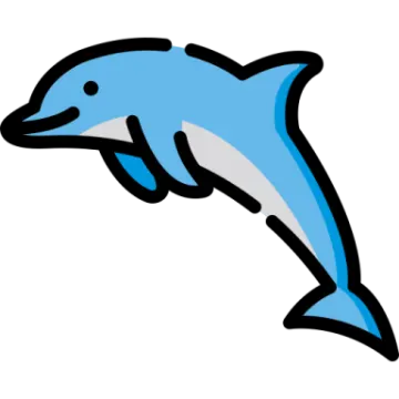 a dolphin jumping in the air