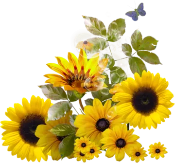 a bouquet of sunflowers and butterflies