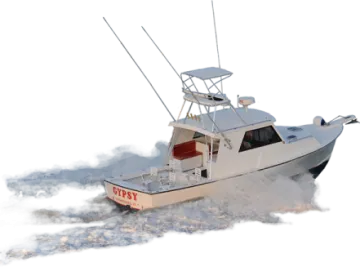 the boat is white