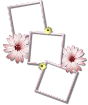 three frames with pink flowers on them