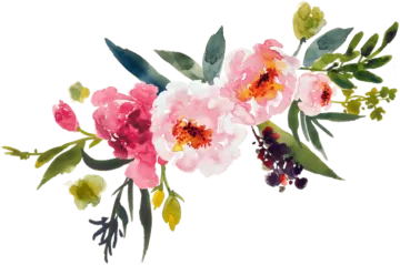 a watercolor painting of pink flowers