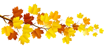 a branch with yellow leaves on it