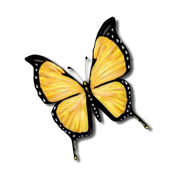 a yellow butterfly on a white background