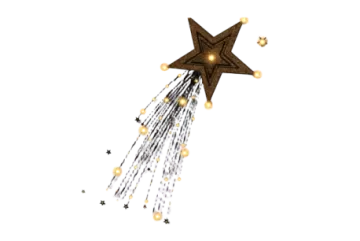 a brown and white star with lights on it