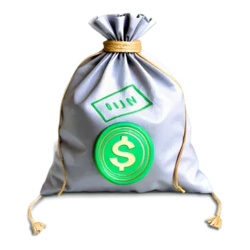 a bag with a dollar sign on it